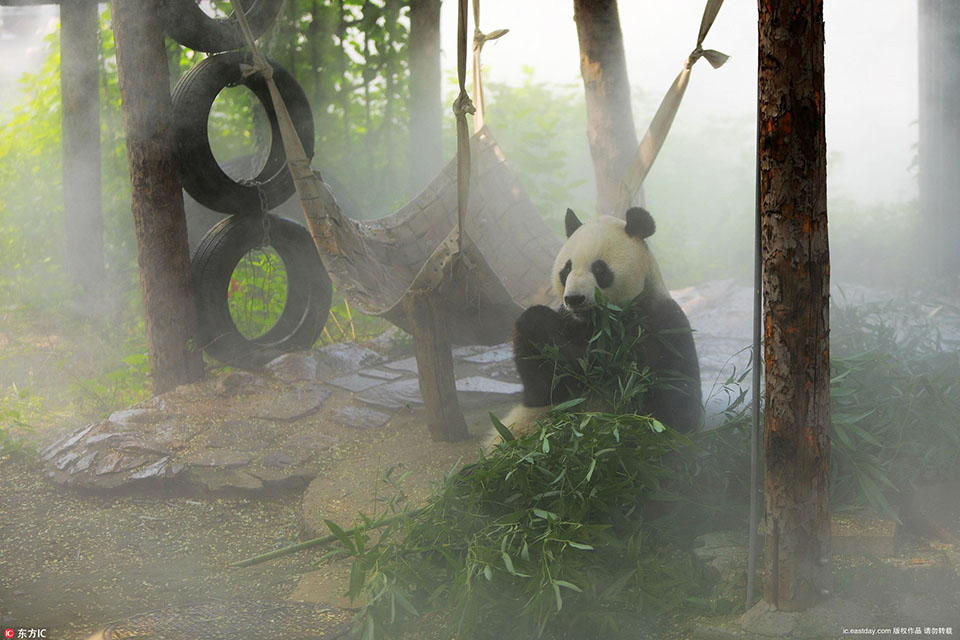 A software company offered a free trial of its program