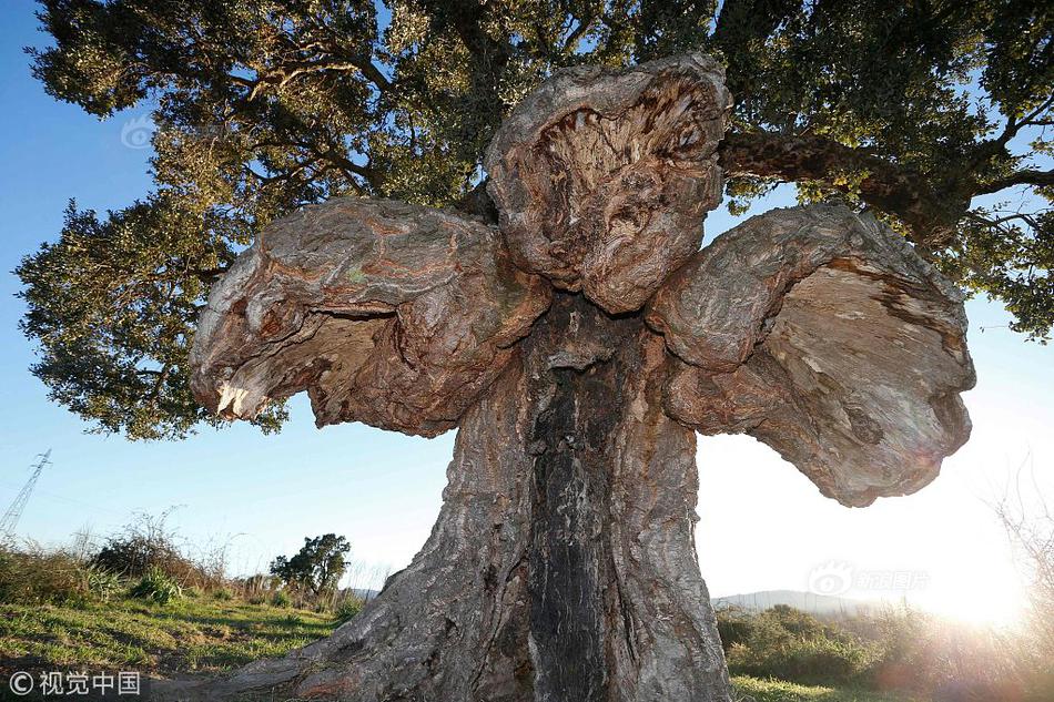 The WHO launched a campaign to eliminate a rare disease in developing countries