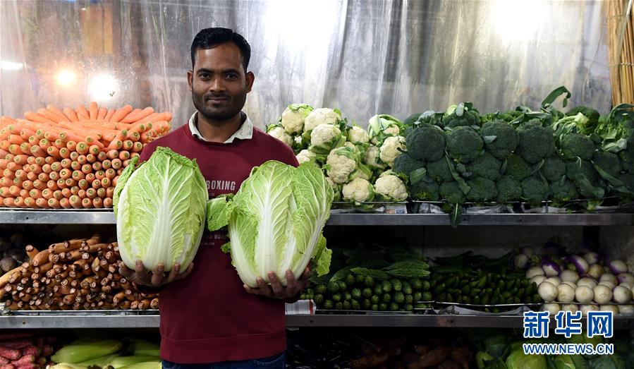 The government provided grants to small businesses affected by recent natural disasters