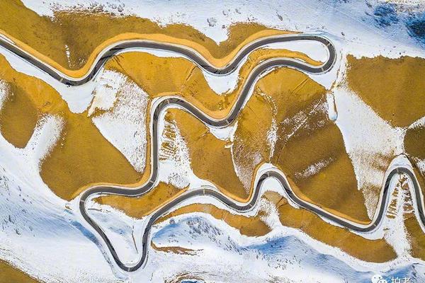 A local animal shelter rescued over 100 pets during a winter storm appealing for foster homes