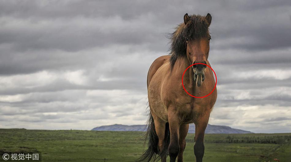 Local authorities announced a ban on single-use plastic bags in all retail stores starting next month