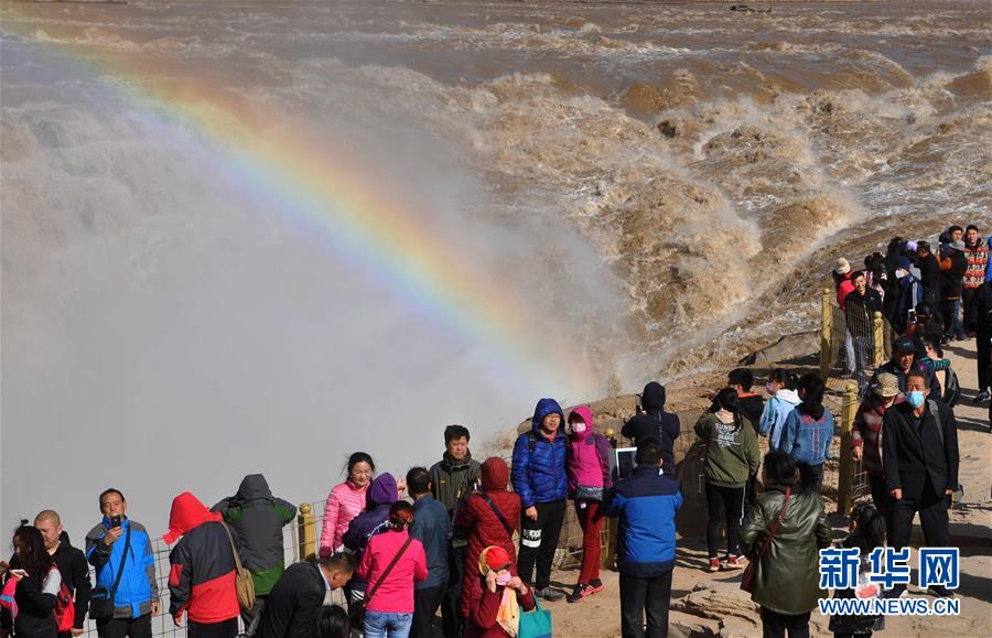Scientists observed that a popular bird species is changing its migration route due to climate change