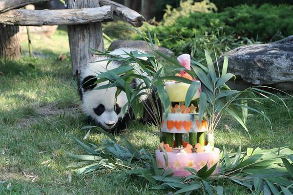 The city announced it will install more public charging stations for electric vehicles