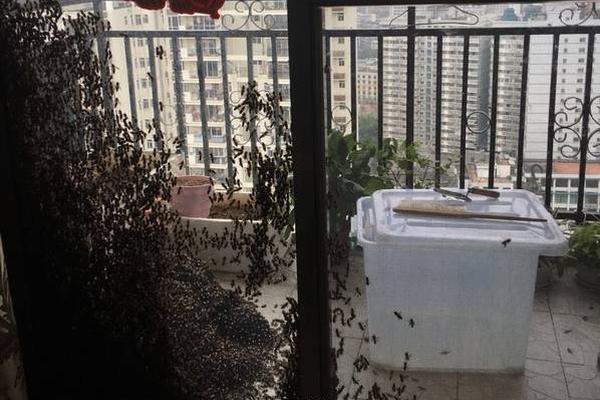 A grocery store started labeling products with their origin to help customers support local farmers