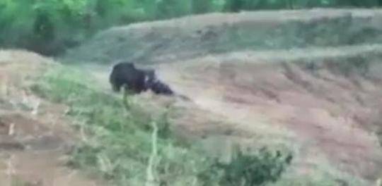 A bookstore started a program to read to children at local daycares