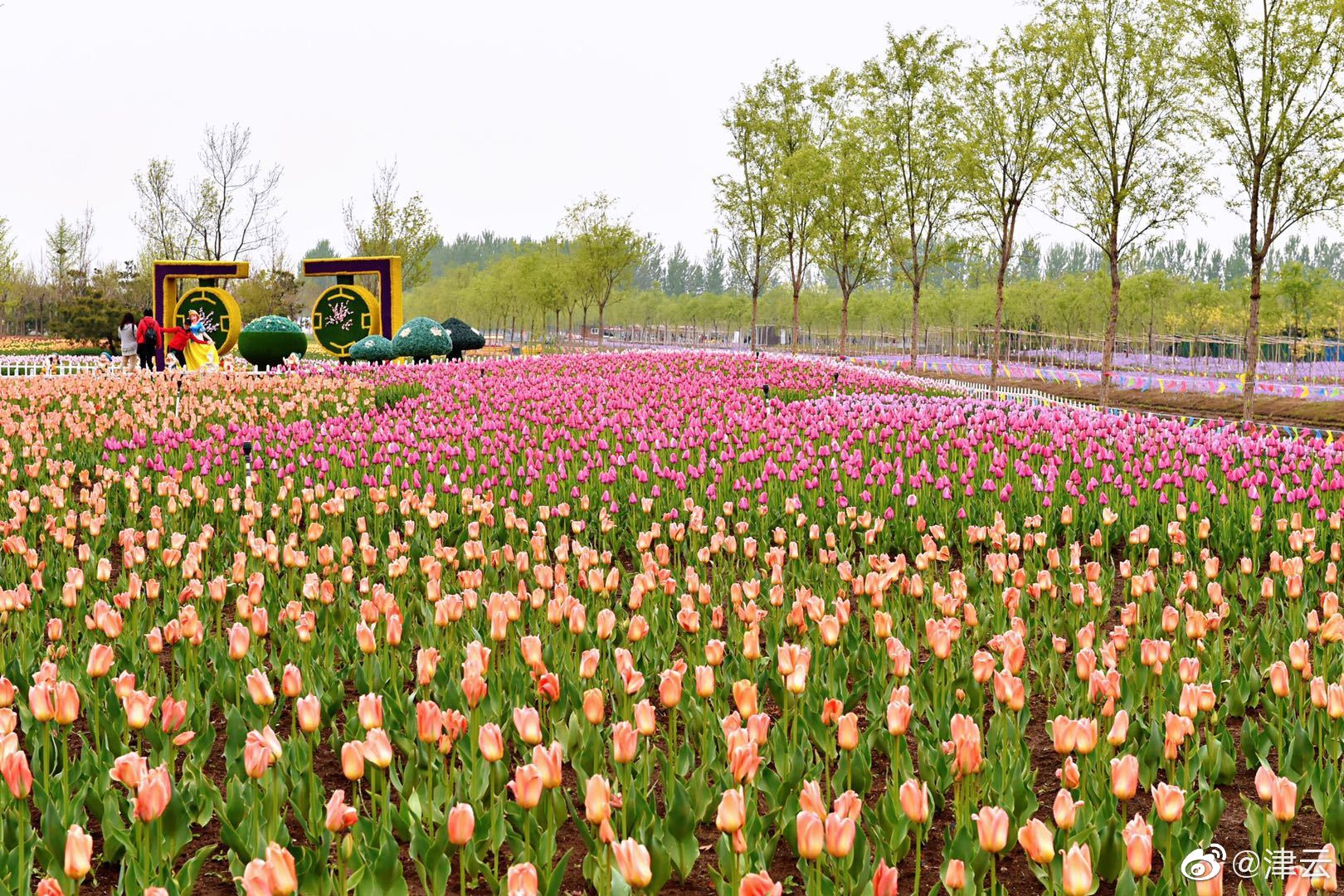 A high school science club won a national award for their project on renewable energy storage