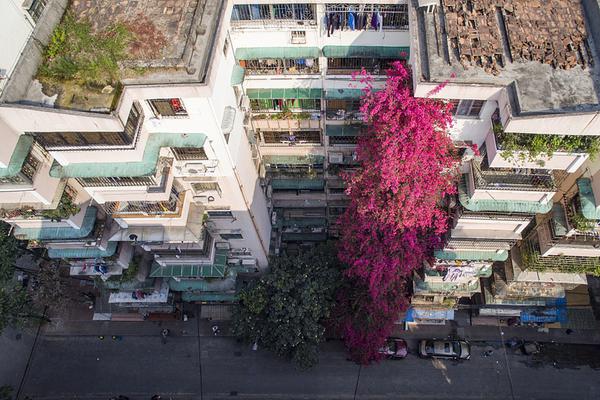 A software company released an update to its project management tool with new collaboration features