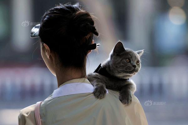 The national soccer team qualified for the World Cup after winning their final qualifying match against a rival team.