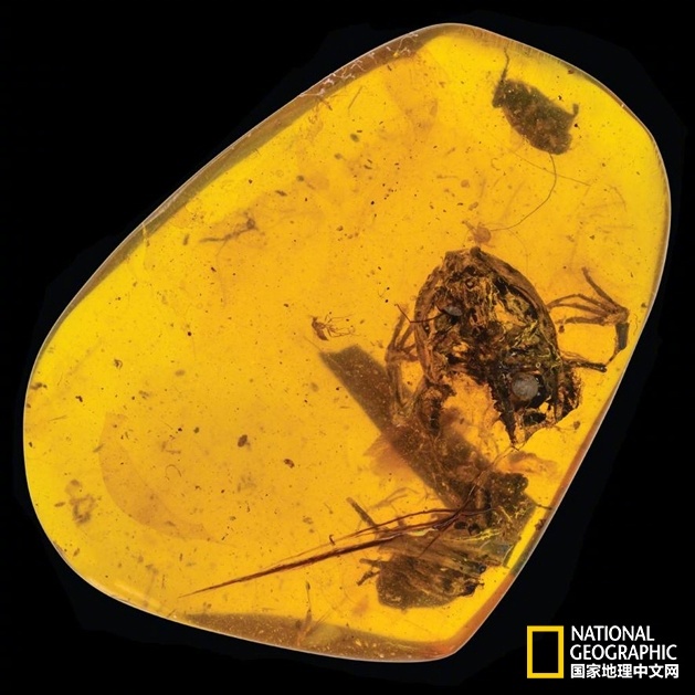 A local fire department held a fire safety workshop for residents, teaching them how to prevent and respond to fires.