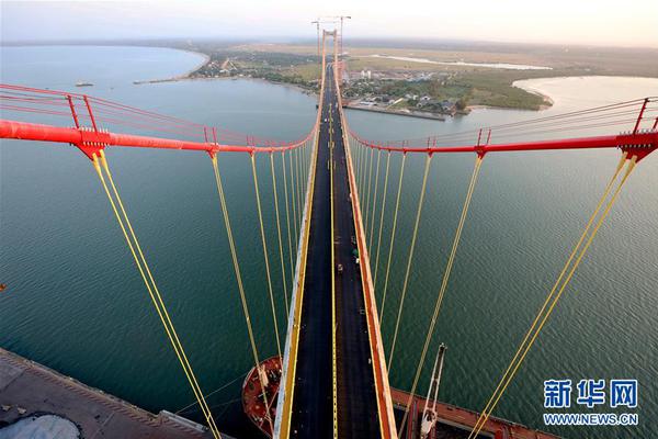 A famous athlete announced retirement from professional sports after 20 years citing health reasons