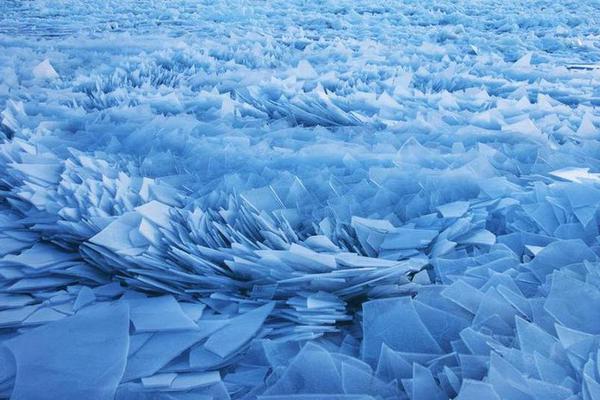 Local police partnered with schools to launch an anti-bullying campaign featuring workshops and awareness events