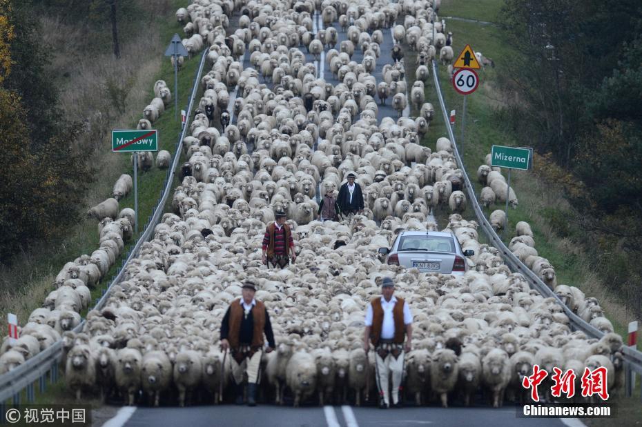 A fashion designer collaborated with a sports brand to create a line of athletic wear for runners