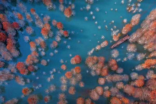 Doctors developed a new treatment method for a rare medical condition