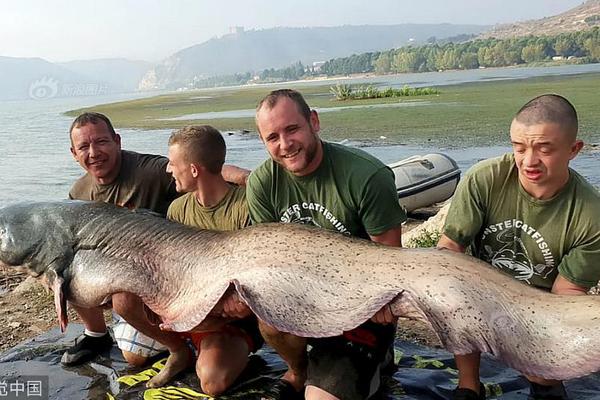 A clothing brand collaborated with a popular social media influencer to design a limited edition line