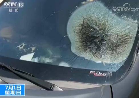 A new study indicated that owning a cat can reduce the risk of stroke in older adults