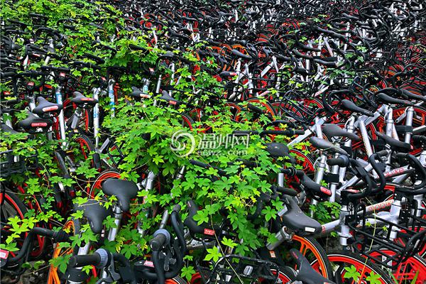 The national parliament approved a new infrastructure plan, including funding for roads, bridges, and airports.