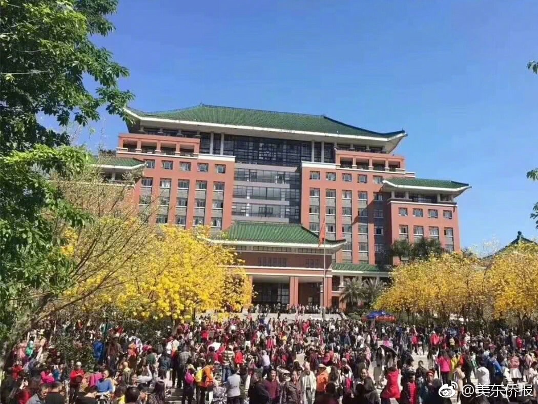 A study found that urban green spaces reduce air pollution levels by up to 23% in city centers