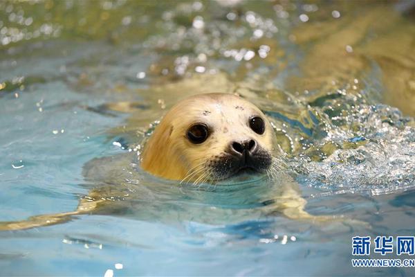 Police seized $50000 worth of counterfeit goods in a raid on a downtown market