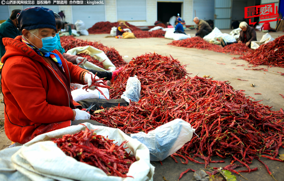 Teachers attend workshop on integrating technology into classroom lessons