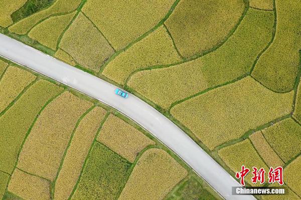 Gardening center offers classes on growing vegetables in container gardens