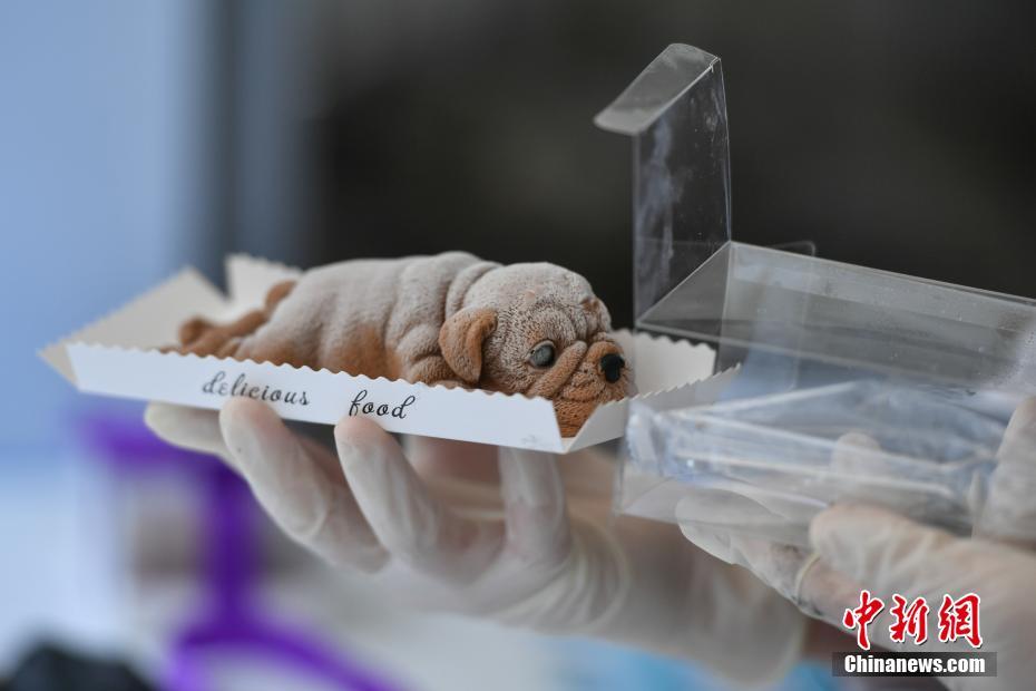 The national rugby team won the championship after a final game that went into overtime