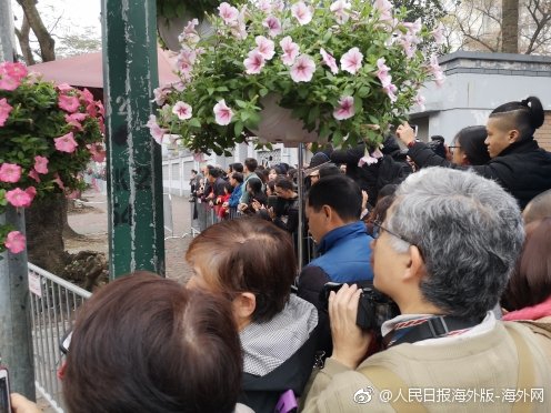 A streaming service added a collection of classic movies from the 1950s and 1960s