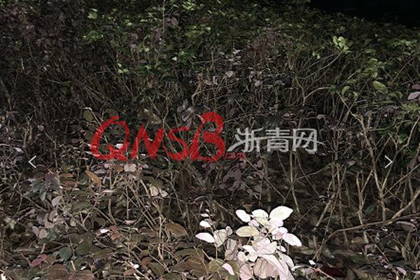 Health officials issued a public alert about a surge in seasonal flu cases urging young children and the elderly to get vaccinated