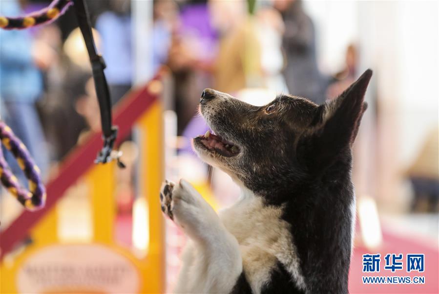 A tech startup released a new software tool that helps businesses manage remote teams more efficiently