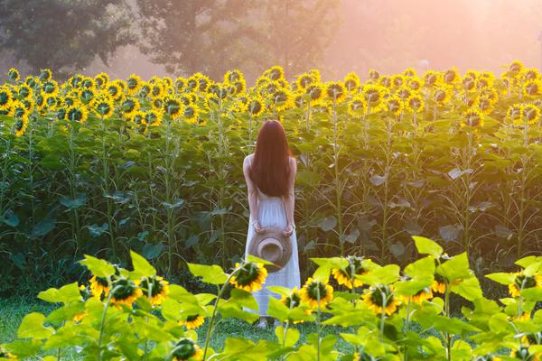 The Nobel Prize in Physiology or Medicine was awarded to researchers studying cell aging