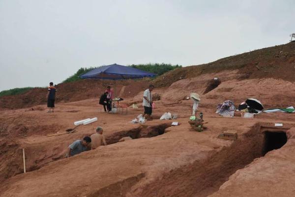 Bakery makes low-sugar pastries for health-conscious customers