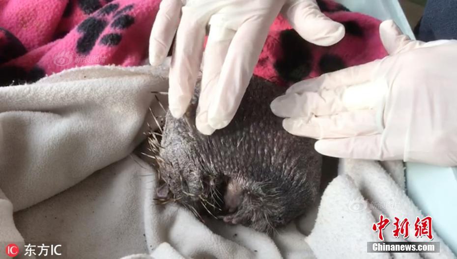 A construction company used recycled steel to build a new office building, cutting costs by 20%