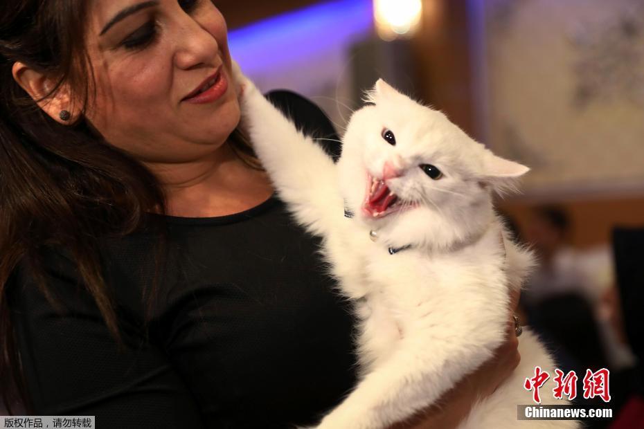 A city launched a public art project where local artists painted murals on 10 downtown buildings