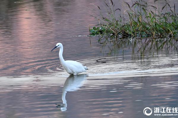 A popular fashion brand announced it will take back old clothes to recycle into new items