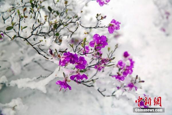 A bookstore started a program to donate books to prisons and detention centers