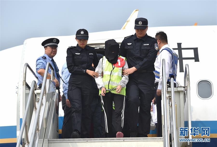 A study found that seniors who own pets have lower rates of depression and loneliness