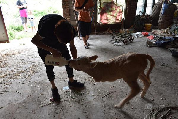 A wildlife sanctuary released a conservation report