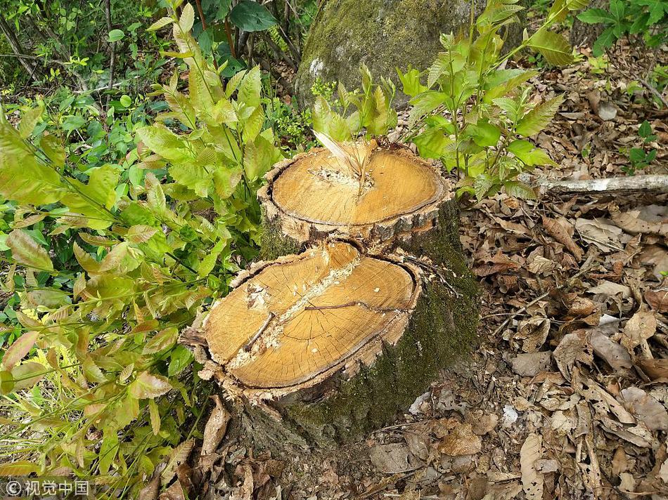 Research indicates that practicing gratitude journaling improves mental health