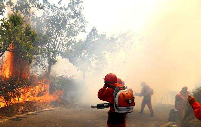 Local businesses offered special discounts to customers who use bicycles instead of cars to shop