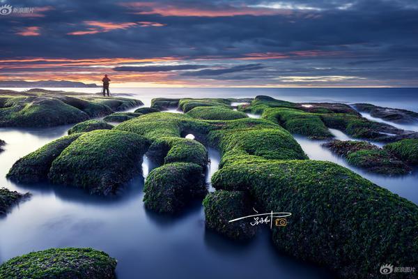 Scientists developed a new method to remove oil spills from ocean water more efficiently