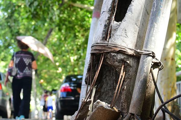 Bookstore hosts book reading event with best selling children’s author