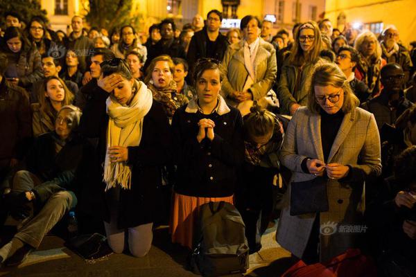 Pet store offers grooming services for dogs and cats with sensitive skin