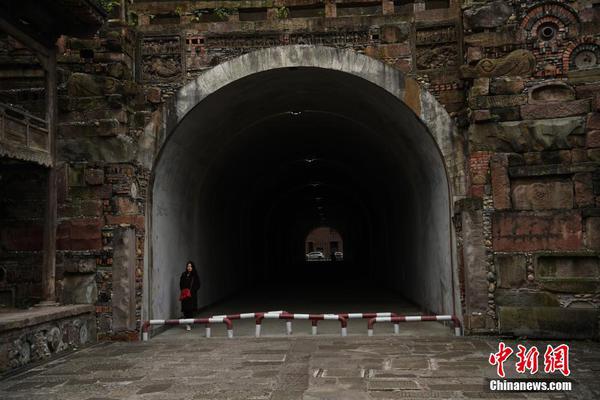 Scientists developed a new vaccine to protect honeybees from deadly viruses