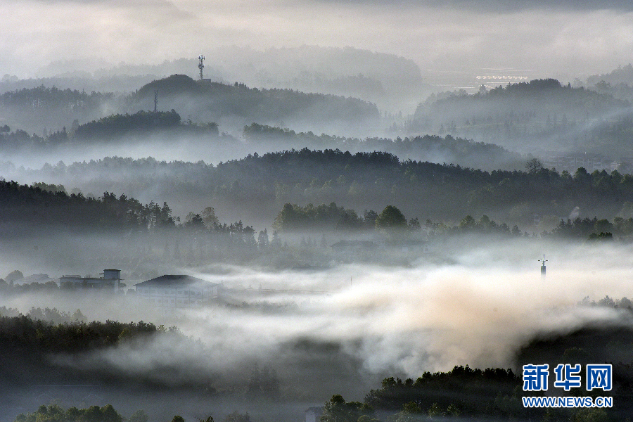 Police department launches app for reporting traffic hazards