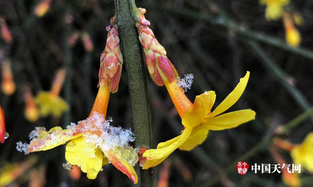 A team of researchers developed a new method to clean up oil spills using biodegradable materials