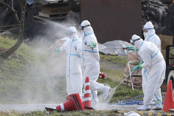 A library started a storytime program for toddlers that meets twice a week