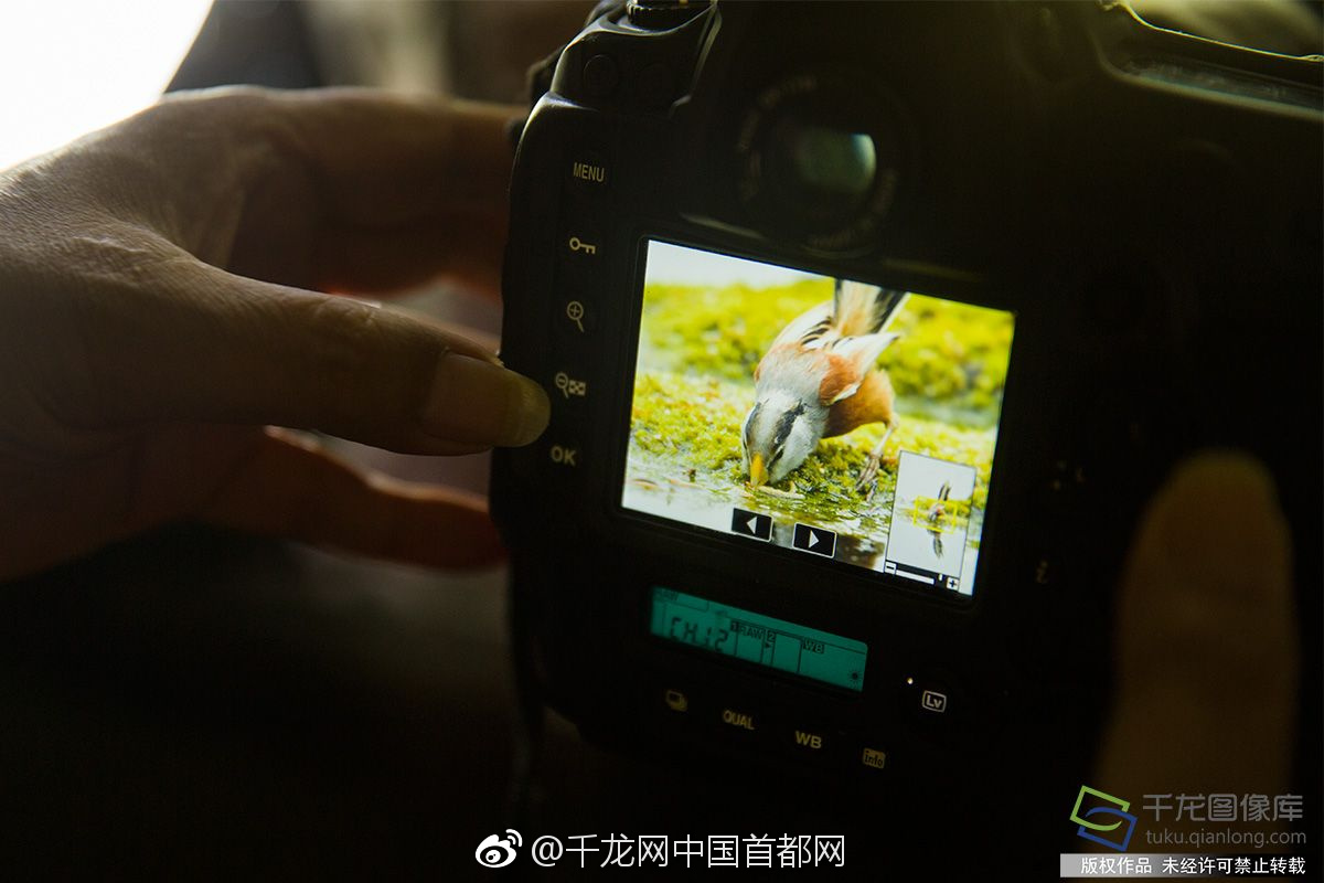 A software company launched a new tool that helps small businesses create professional invoices