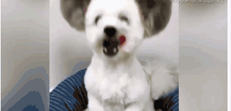 A fashion store started selling vintage-inspired clothing for young adults