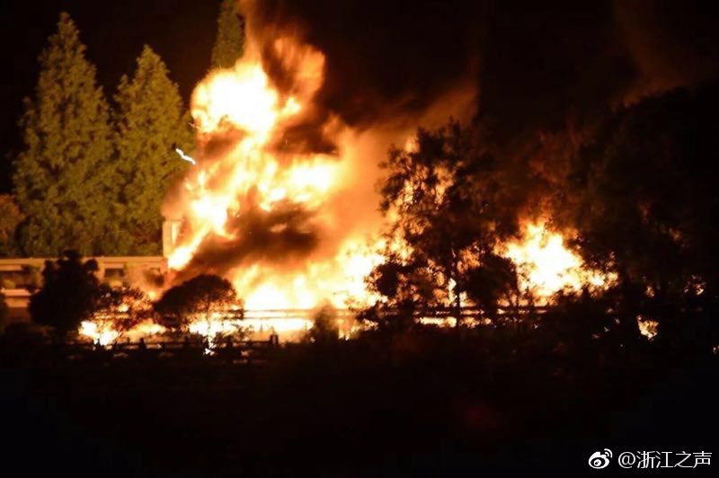 Scientists discovered a new species of frog that can change color to match its surroundings