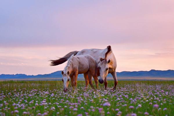 The city announced plans to install more streetlights to improve safety