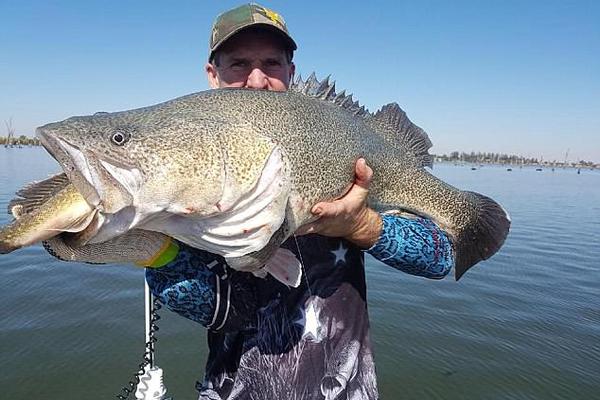 The national basketball team lost their semi-final match in the international tournament, ending their bid for the championship.